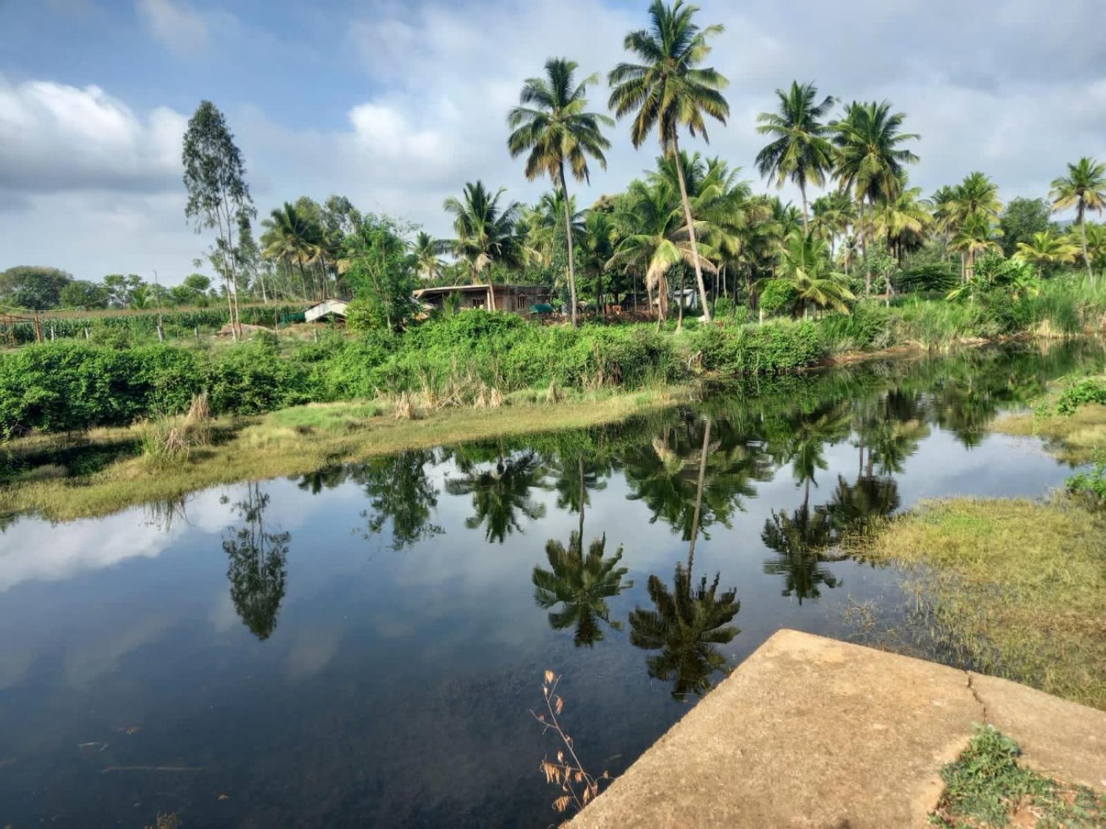 Готель Wilderness Jungle Camp Malavalli Екстер'єр фото